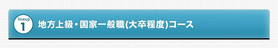lineup1 地方上級・国家一般職(大卒程度)コース