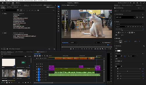 Premiere Pro スタンダード